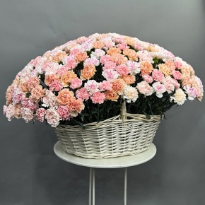 Композиция в корзине из 251 диантуса микс в Лыткарино