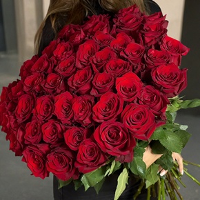 Букет 51 роза Эквадор Эксплорер (60 см) в Лыткарино