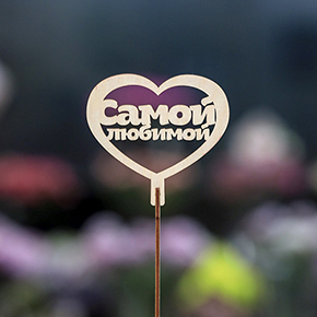 Топпер Самой Любимой в Лыткарино