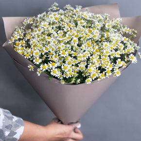 Букет из 17 ромашек танацетум в Лыткарино