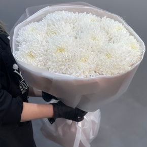 Букет из 11 белых хризантем  в Лыткарино