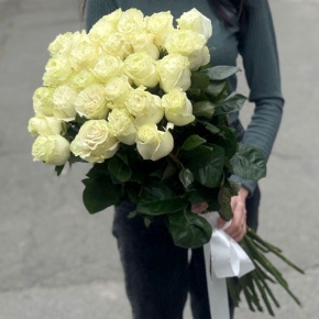 Монобукет из 25 роз Эквадор Мондиаль (80 см) в Лыткарино