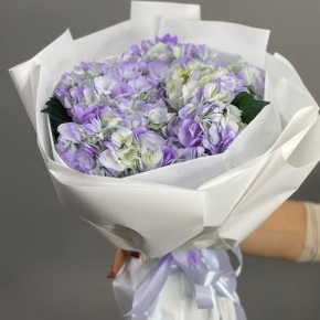 Букет из 5 фиолетовых гортензий в Лыткарино