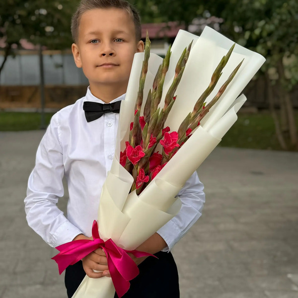 Букет на 1 сентября из 7 малиновых гладиолусов в Лыткарино