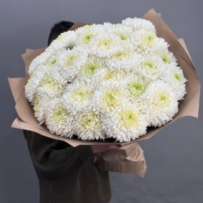 Букет из 27 хризантем Магнум в Лыткарино