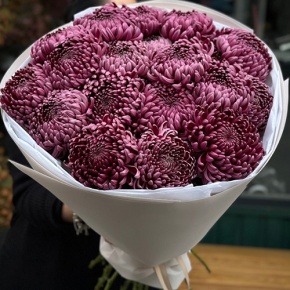 Букет 21 винной хризантемы Бигоуди в Лыткарино