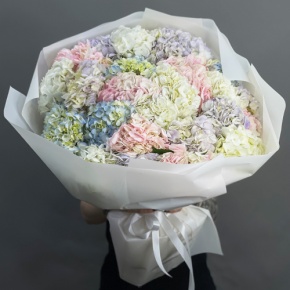 Букет из 23 гортензий микс в Лыткарино