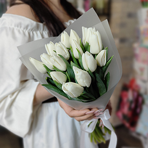 Букет из 15 белых тюльпанов в Лыткарино