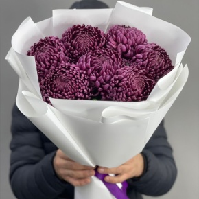 Букет "Винная легенда" из 7 хризантем Бигоуди в Лыткарино