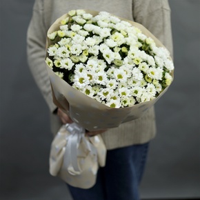Букет "Милая моя" из 17 хризантем сантини в Лыткарино