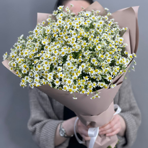Букет из 17 полевых ромашек в Лыткарино