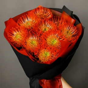 Букет из 9 лейко в Лыткарино