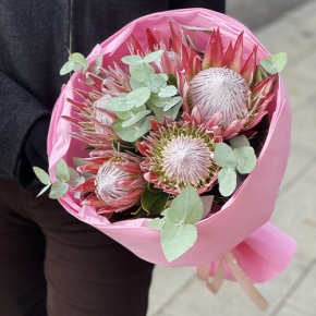 Букет из 5 протей и эвкалипта в Лыткарино
