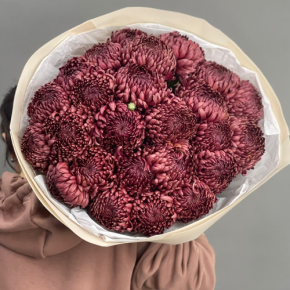 Букет 21 шоколадной хризантемы Бигоуди в Лыткарино