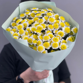 Букет "Моё солнышко" из 17 хризантем сантини  в Лыткарино