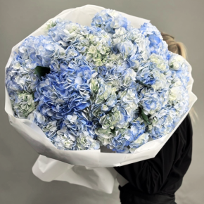 Букет из 23 синих гортензий в Лыткарино