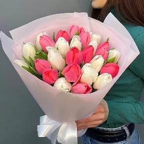 Букет из 25 кораллово-белых тюльпанов в Лыткарино