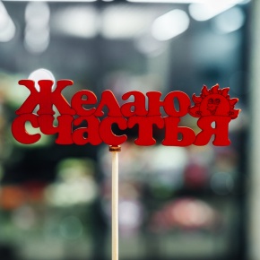 Топпер Желаю Счастья в Лыткарино