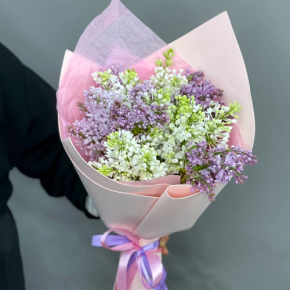 Букет из 11 веток сирени микс в Лыткарино