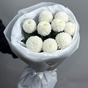 Букет из 9 белых хризантем Момоко в Лыткарино