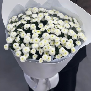 Букет "Белая дымка" из 25 хризантем сантини в Лыткарино