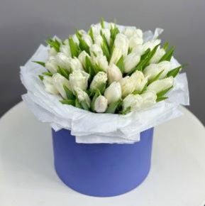 Букет из 49 белых тюльпанов в синей коробке в Лыткарино