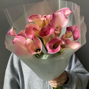 Букет из 13 нежных калл в Лыткарино