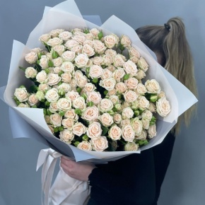 Букет из 25 кремовых кустовых роз (70 см) в Лыткарино