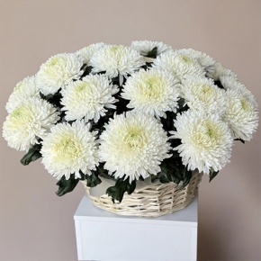 Композиция в корзине из 25 хризантем Магнум в Лыткарино