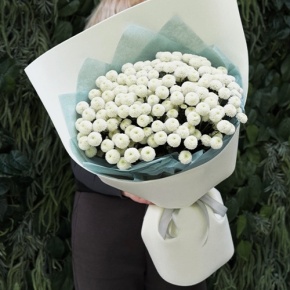 Букет из 25 хризантем Ньютон в Лыткарино