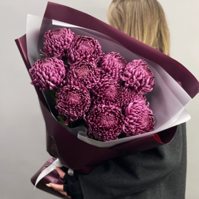 Букет "Изобилие" из 11 винных хризантем Бигоуди в Лыткарино