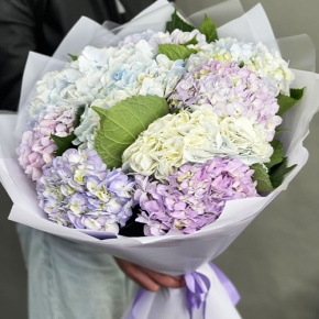 Букет из 9 Голландских гортензий микс в Лыткарино