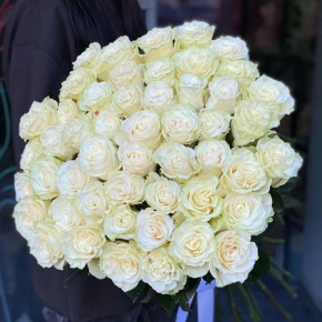 Букет из 51 розы Эквадор Мондиаль под ленту (80 см) в Лыткарино