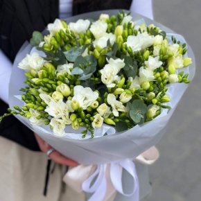 Букет из 51 белой фрезии в Лыткарино