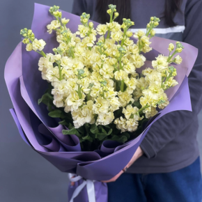 Букет из 15 лимонных маттиол в Лыткарино