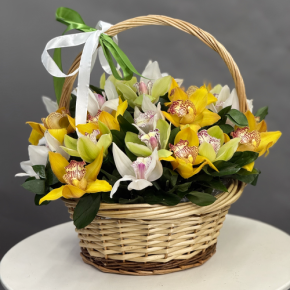 Композиция в корзине из 25 орхидей микс в Лыткарино
