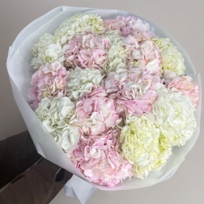 Букет из 17 нежных гортензий в Лыткарино
