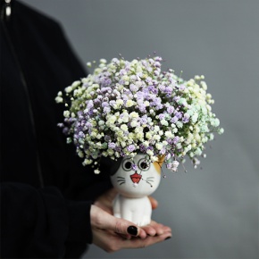 Композиция из гипсофил в керамическом кашпо в Лыткарино