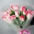 Букет "Фламинго" из 11 пионовидных тюльпанов в Лыткарино Букет "Фламинго" из 11 пионовидных тюльпанов в Лыткарино