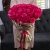 Букет 51 роза Эквадор Пинк Флоид (60 см) в Лыткарино Букет 51 роза Эквадор Пинк Флоид (60 см) в Лыткарино