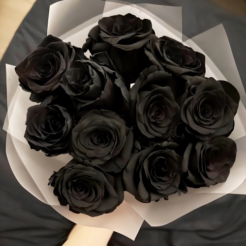 Букет "Черная королева" из 11 черных роз Эквадор (60 см) в Лыткарино