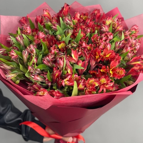 Монобукет из 25 красных альстромерий в Лыткарино