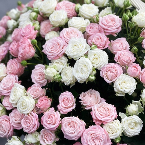 Композиция в корзине из 101 кустовой пионовидной розы в Лыткарино