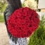 Букет 51 красной розы 50 см в Лыткарино