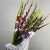 Букет из 25 гладиолусов микс в Лыткарино Букет из 25 гладиолусов микс в Лыткарино