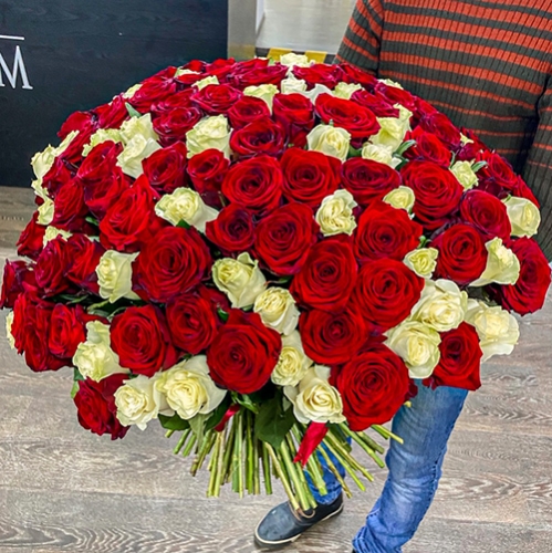 Букет 151 роза красный и белый микс (60 см) в Лыткарино