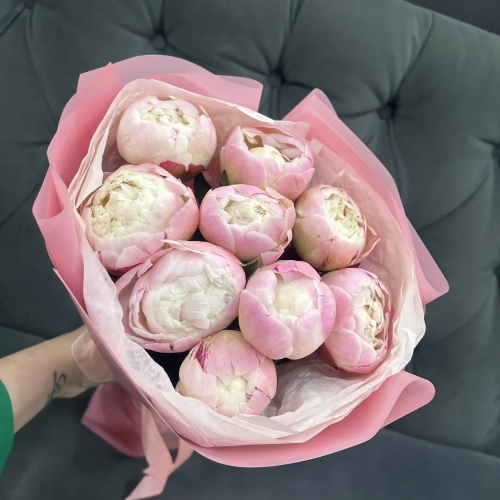 Букет из 9 нежных пионов Гардения в Лыткарино
