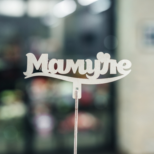 Топпер Мамуле в Лыткарино