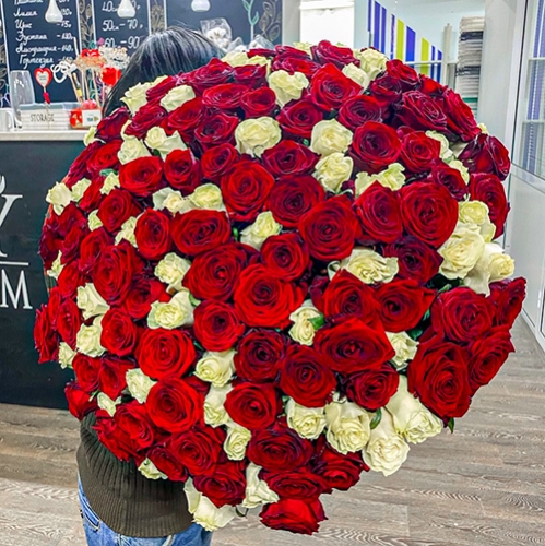 Букет 151 роза красный и белый микс (60 см) в Лыткарино