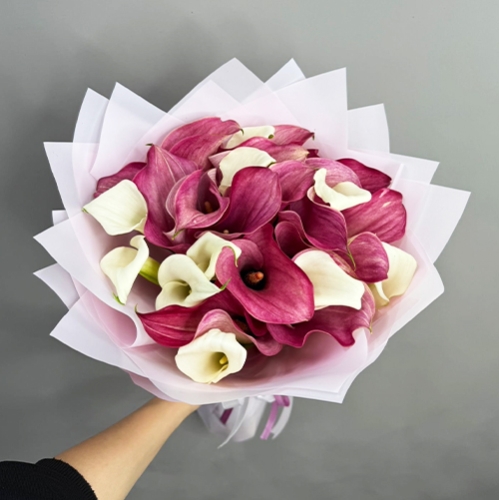 Букет из 25 нежных калл в Лыткарино